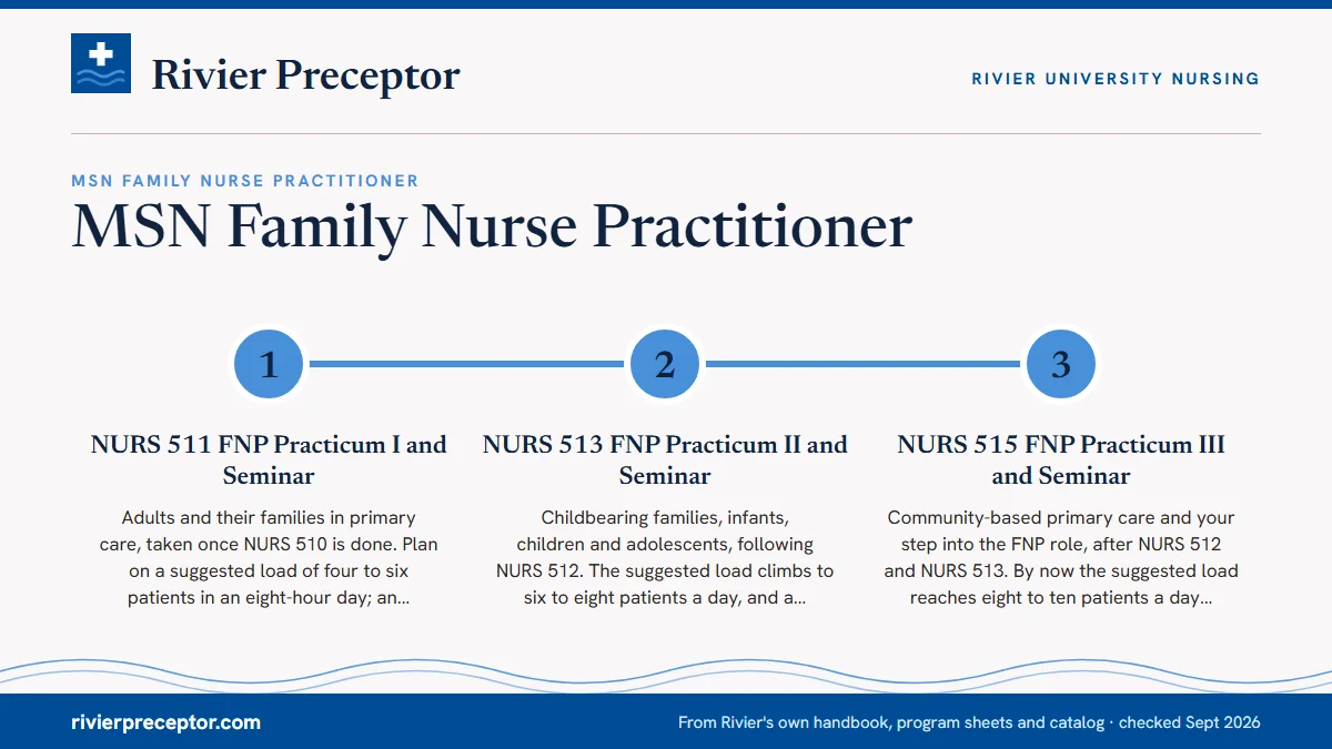 Numbered steps. Three practicums, three different clinic days: 1 NURS 511 FNP Practicum I and Seminar; 2 NURS 513 FNP Practicum II and Seminar; 3 NURS 515 FNP Practicum III and Seminar.